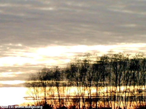 [http://www.dongo.org/pictures/a_belgian_sunset_behind_trees.jpg]